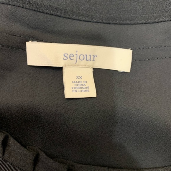 Sejour Pleat Neck Lace Trim Blouse (Plus Size) - Picture 5 of 5